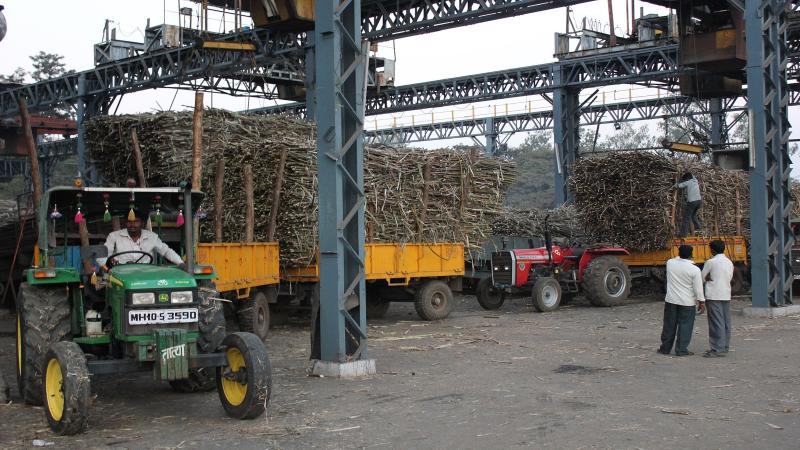 Maharashtra emerges as top sugar producer, overtakes UP