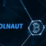 Hodlnaut, a cryptocurrency lender based in Singapore halts withdrawals