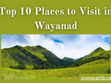 Places to Visit in Wayanad