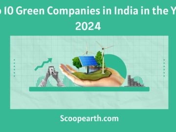 Green Companies in India in the Year 2024