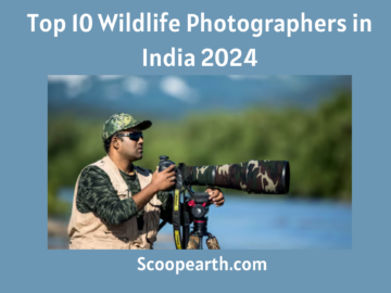 Wildlife Photographers in India 2024