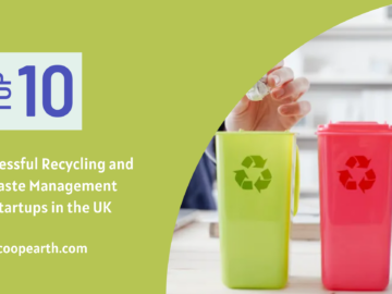 Successful Recycling and Waste Management Startups in the UK