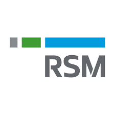 RSM India image