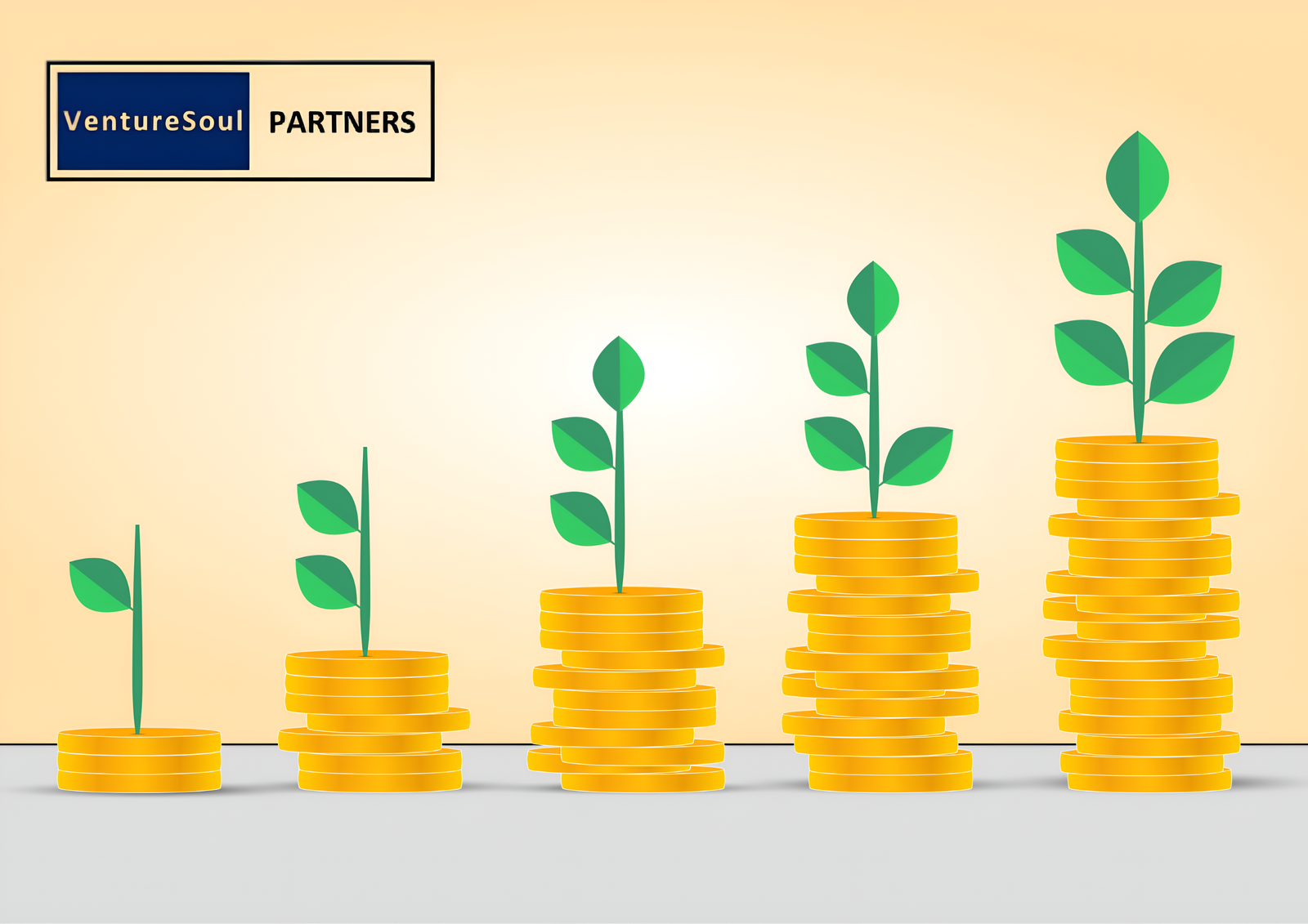 VentureSoul Partners