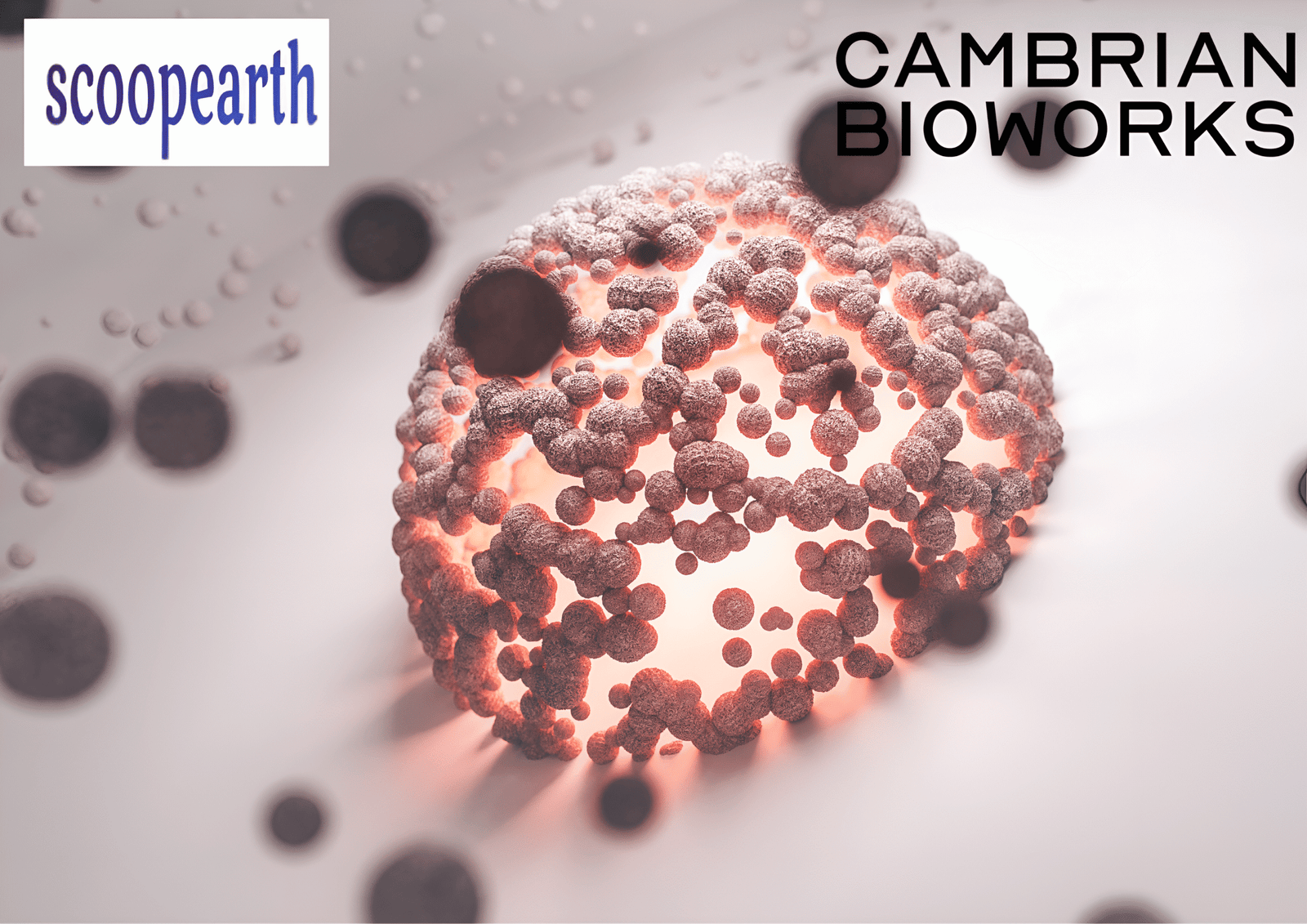 cambrian biowork