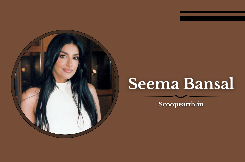 Seema Bansal Entrepreneur Journey