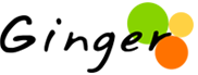 Ginger Webs: Top Test and Assessment Companies in India: [Updated 2021]