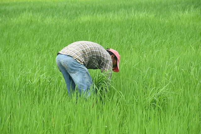 Modi government agricultural innovation