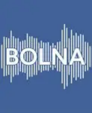Voice AI startup Bolna raises $6.3 million in seed round led by  General Catalyst 