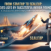Indian startup scaleup infographic detailing the revenue milestones, funding stages, and growth strategies of successful founders.