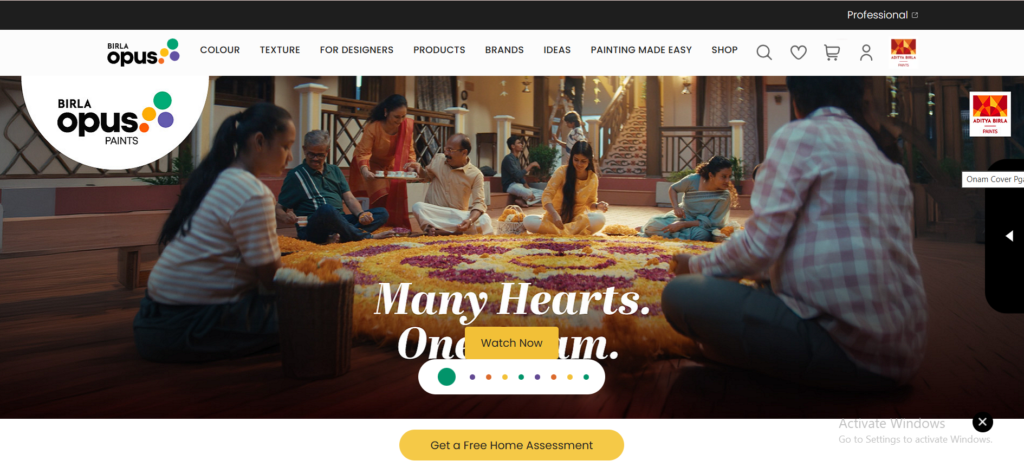 Birla Opus Paints