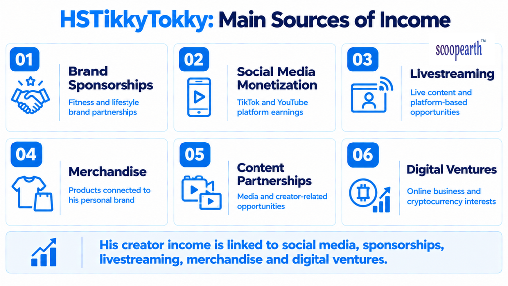 HSTikkytokky: Main Sources of Income